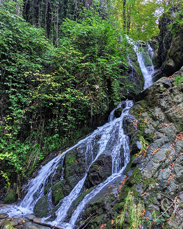 فنادق گرگان